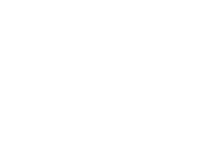 tiger-white(1)